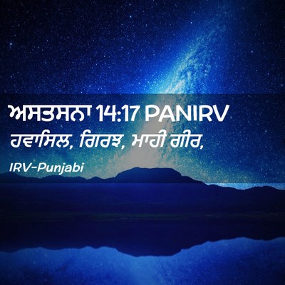 Picture 02 - ਅਸਤਸਨਾ 14:17 PANIRV - ਹਵਾਸਿਲ, ਗਿਰਝ, ਮਾਹੀ - Bible Verse Picture