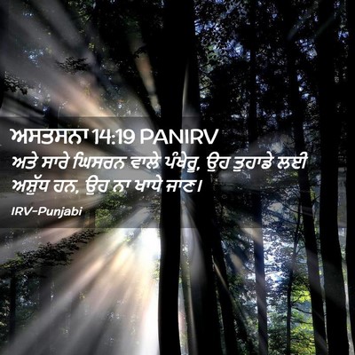 Picture 02 - ਅਸਤਸਨਾ 14:19 PANIRV - ਅਤੇ ਸਾਰੇ ਘਿਸਰਨ - Bible Verse Picture