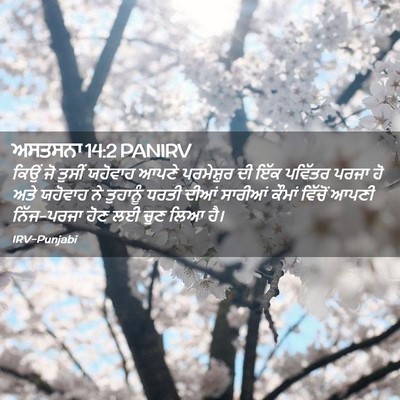 Picture 02 - ਅਸਤਸਨਾ 14:2 PANIRV - ਕਿਉਂ ਜੋ ਤੁਸੀਂ - Bible Verse Picture