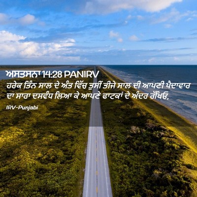 Picture 02 - ਅਸਤਸਨਾ 14:28 PANIRV - ਹਰੇਕ ਤਿੰਨ ਸਾਲ ਦੇ - Bible Verse Picture