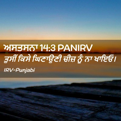 Picture 02 - ਅਸਤਸਨਾ 14:3 PANIRV - ਤੁਸੀਂ ਕਿਸੇ - Bible Verse Picture