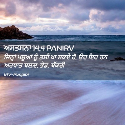 Picture 02 - ਅਸਤਸਨਾ 14:4 PANIRV - ਜਿਨ੍ਹਾਂ ਪਸ਼ੂਆਂ - Bible Verse Picture