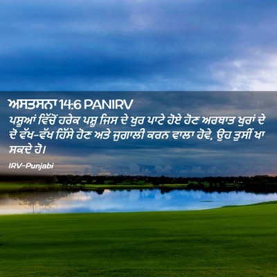 Picture 02 - ਅਸਤਸਨਾ 14:6 PANIRV - ਪਸ਼ੂਆਂ ਵਿੱਚੋਂ - Bible Verse Picture