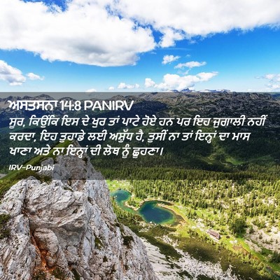 Picture 02 - ਅਸਤਸਨਾ 14:8 PANIRV - ਸੂਰ, ਕਿਉਂਕਿ ਇਸ ਦੇ - Bible Verse Picture