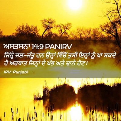 Picture 02 - ਅਸਤਸਨਾ 14:9 PANIRV - ਜਿੰਨ੍ਹੇ ਜਲ-ਜੰਤੂ ਹਨ - Bible Verse Picture