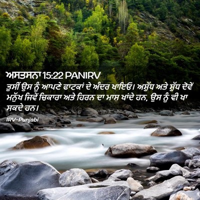 Picture 02 - ਅਸਤਸਨਾ 15:22 PANIRV - ਤੁਸੀਂ ਉਸ ਨੂੰ ਆਪਣੇ - Bible Verse Picture