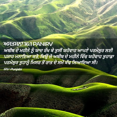 Picture 02 - ਅਸਤਸਨਾ 16:1 PANIRV - ਅਬੀਬ ਦੇ ਮਹੀਨੇ ਨੂੰ - Bible Verse Picture
