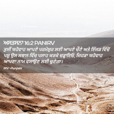 Picture 02 - ਅਸਤਸਨਾ 16:2 PANIRV - ਤੁਸੀਂ ਯਹੋਵਾਹ ਆਪਣੇ - Bible Verse Picture