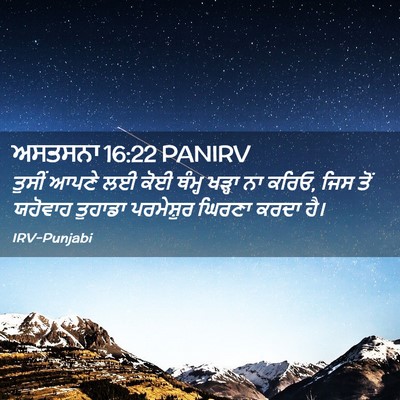Picture 02 - ਅਸਤਸਨਾ 16:22 PANIRV - ਤੁਸੀਂ ਆਪਣੇ ਲਈ ਕੋਈ - Bible Verse Picture