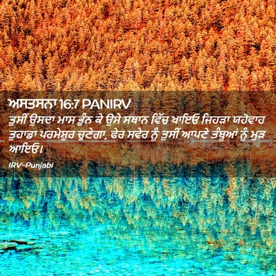 Picture 02 - ਅਸਤਸਨਾ 16:7 PANIRV - ਤੁਸੀਂ ਉਸਦਾ ਮਾਸ - Bible Verse Picture