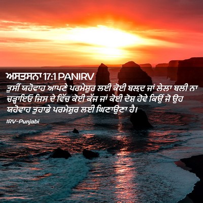 Picture 02 - ਅਸਤਸਨਾ 17:1 PANIRV - ਤੁਸੀਂ ਯਹੋਵਾਹ ਆਪਣੇ - Bible Verse Picture