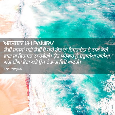 Picture 02 - ਅਸਤਸਨਾ 18:1 PANIRV - ਲੇਵੀ ਜਾਜਕਾਂ ਸਗੋਂ - Bible Verse Picture