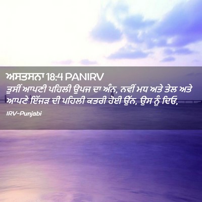 Picture 02 - ਅਸਤਸਨਾ 18:4 PANIRV - ਤੁਸੀਂ ਆਪਣੀ ਪਹਿਲੀ - Bible Verse Picture