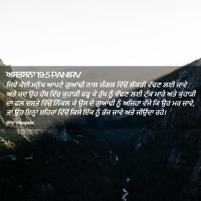 Picture 02 - ਅਸਤਸਨਾ 19:5 PANIRV - ਜਿਵੇਂ ਕੋਈ ਮਨੁੱਖ - Bible Verse Picture