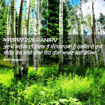 Picture 02 - ਅਸਤਸਨਾ 2:26 PANIRV - ਤਦ ਮੈਂ ਕਦੇਮੋਥ ਦੀ - Bible Verse Picture