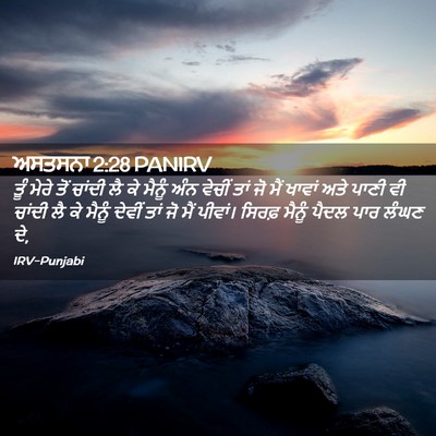 Picture 02 - ਅਸਤਸਨਾ 2:28 PANIRV - ਤੂੰ ਮੇਰੇ ਤੋਂ ਚਾਂਦੀ - Bible Verse Picture