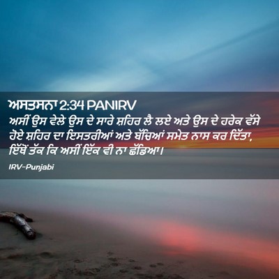 Picture 02 - ਅਸਤਸਨਾ 2:34 PANIRV - ਅਸੀਂ ਉਸ ਵੇਲੇ ਉਸ ਦੇ - Bible Verse Picture