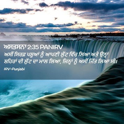 Picture 02 - ਅਸਤਸਨਾ 2:35 PANIRV - ਅਸੀਂ ਸਿਰਫ਼ ਪਸ਼ੂਆਂ - Bible Verse Picture