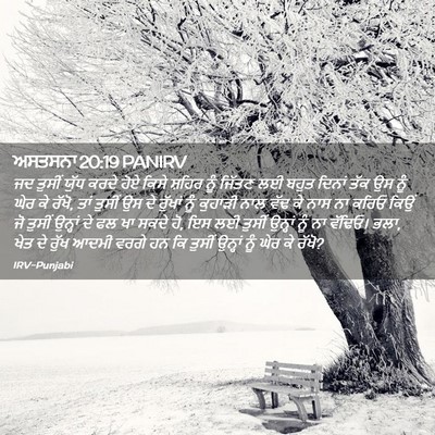 Picture 02 - ਅਸਤਸਨਾ 20:19 PANIRV - ਜਦ ਤੁਸੀਂ ਯੁੱਧ ਕਰਦੇ - Bible Verse Picture