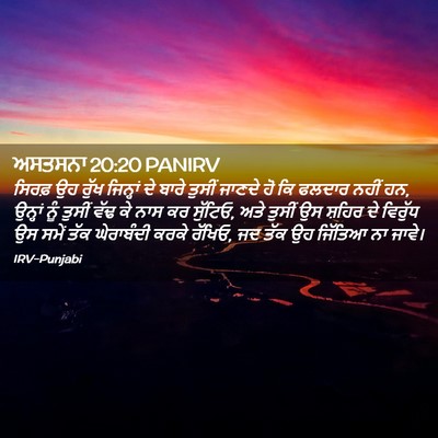 Picture 02 - ਅਸਤਸਨਾ 20:20 PANIRV - ਸਿਰਫ਼ ਉਹ ਰੁੱਖ - Bible Verse Picture