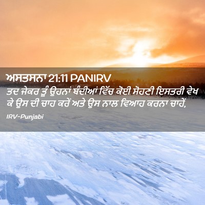 Picture 02 - ਅਸਤਸਨਾ 21:11 PANIRV - ਤਦ ਜੇਕਰ ਤੂੰ ਉਹਨਾਂ - Bible Verse Picture
