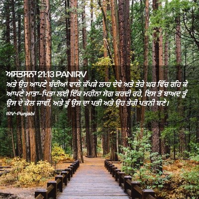Picture 02 - ਅਸਤਸਨਾ 21:13 PANIRV - ਅਤੇ ਉਹ ਆਪਣੇ ਬੰਦੀਆਂ - Bible Verse Picture