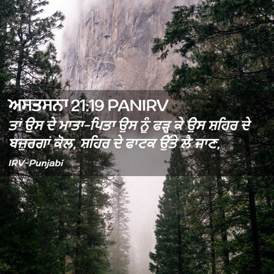 Picture 02 - ਅਸਤਸਨਾ 21:19 PANIRV - ਤਾਂ ਉਸ ਦੇ ਮਾਤਾ-ਪਿਤਾ - Bible Verse Picture