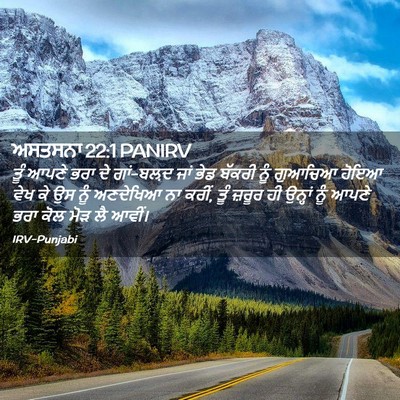 Picture 02 - ਅਸਤਸਨਾ 22:1 PANIRV - ਤੂੰ ਆਪਣੇ ਭਰਾ ਦੇ - Bible Verse Picture