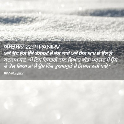 Picture 02 - ਅਸਤਸਨਾ 22:14 PANIRV - ਅਤੇ ਉਹ ਉਸ ਉੱਤੇ - Bible Verse Picture