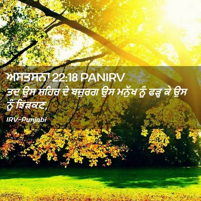 Picture 02 - ਅਸਤਸਨਾ 22:18 PANIRV - ਤਦ ਉਸ ਸ਼ਹਿਰ ਦੇ - Bible Verse Picture