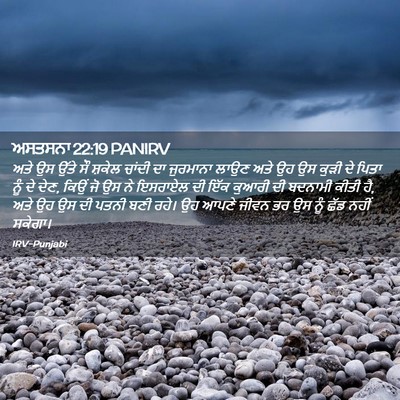 Picture 02 - ਅਸਤਸਨਾ 22:19 PANIRV - ਅਤੇ ਉਸ ਉੱਤੇ ਸੌ - Bible Verse Picture