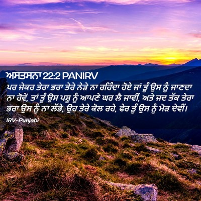 Picture 02 - ਅਸਤਸਨਾ 22:2 PANIRV - ਪਰ ਜੇਕਰ ਤੇਰਾ ਭਰਾ - Bible Verse Picture