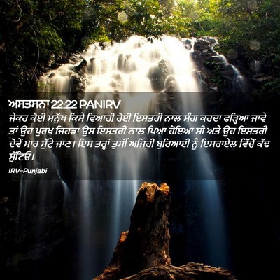 Picture 02 - ਅਸਤਸਨਾ 22:22 PANIRV - ਜੇਕਰ ਕੋਈ ਮਨੁੱਖ - Bible Verse Picture