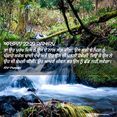Picture 02 - ਅਸਤਸਨਾ 22:29 PANIRV - ਤਾਂ ਉਹ ਪੁਰਖ ਜਿਸ ਨੇ - Bible Verse Picture