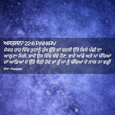 Picture 02 - ਅਸਤਸਨਾ 22:6 PANIRV - ਜੇਕਰ ਰਾਹ ਵਿੱਚ - Bible Verse Picture
