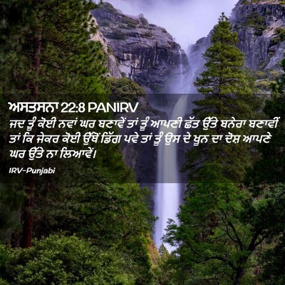 Picture 02 - ਅਸਤਸਨਾ 22:8 PANIRV - ਜਦ ਤੂੰ ਕੋਈ ਨਵਾਂ ਘਰ - Bible Verse Picture