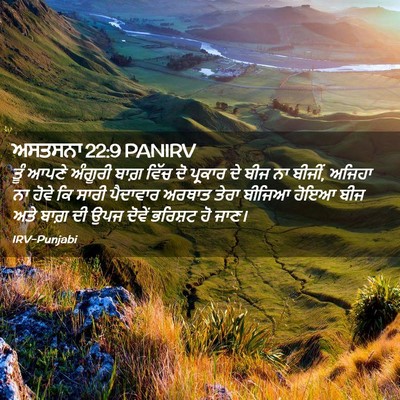 Picture 02 - ਅਸਤਸਨਾ 22:9 PANIRV - ਤੂੰ ਆਪਣੇ ਅੰਗੂਰੀ - Bible Verse Picture