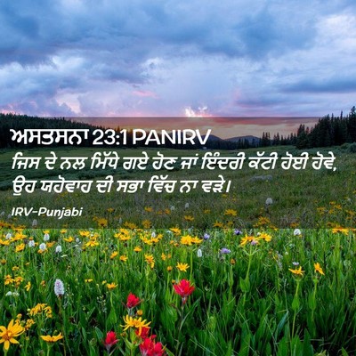 Picture 02 - ਅਸਤਸਨਾ 23:1 PANIRV - ਜਿਸ ਦੇ ਨਲ ਮਿੱਧੇ ਗਏ - Bible Verse Picture