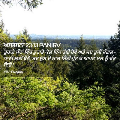 Picture 02 - ਅਸਤਸਨਾ 23:13 PANIRV - ਤੁਹਾਡੇ ਸੰਦਾਂ ਵਿੱਚ - Bible Verse Picture