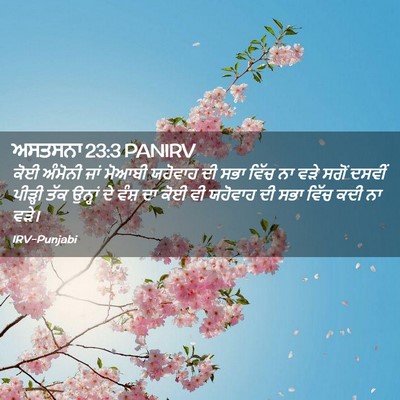 Picture 02 - ਅਸਤਸਨਾ 23:3 PANIRV - ਕੋਈ ਅੰਮੋਨੀ ਜਾਂ - Bible Verse Picture