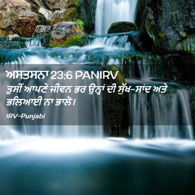 Picture 02 - ਅਸਤਸਨਾ 23:6 PANIRV - ਤੁਸੀਂ ਆਪਣੇ ਜੀਵਨ ਭਰ - Bible Verse Picture