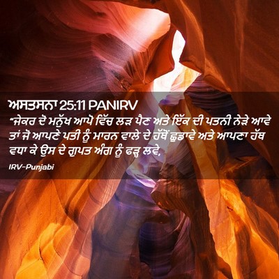 Picture 02 - ਅਸਤਸਨਾ 25:11 PANIRV - “ਜੇਕਰ ਦੋ ਮਨੁੱਖ ਆਪੋ - Bible Verse Picture