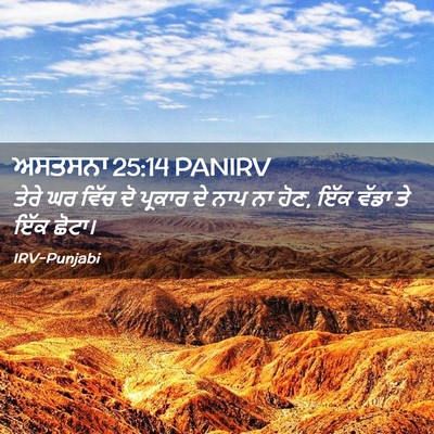 Picture 02 - ਅਸਤਸਨਾ 25:14 PANIRV - ਤੇਰੇ ਘਰ ਵਿੱਚ ਦੋ - Bible Verse Picture