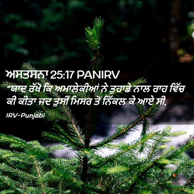 Picture 02 - ਅਸਤਸਨਾ 25:17 PANIRV - “ਯਾਦ ਰੱਖੋ ਕਿ - Bible Verse Picture