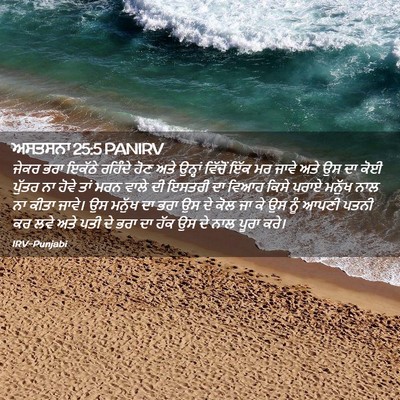 Picture 02 - ਅਸਤਸਨਾ 25:5 PANIRV - ਜੇਕਰ ਭਰਾ ਇਕੱਠੇ - Bible Verse Picture