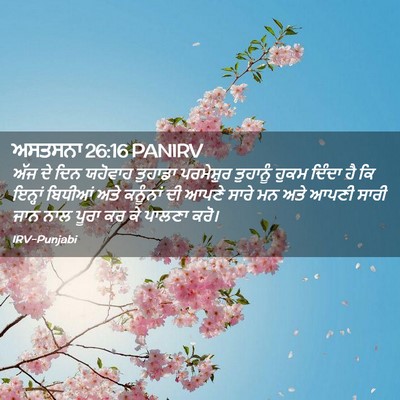 Picture 02 - ਅਸਤਸਨਾ 26:16 PANIRV - ਅੱਜ ਦੇ ਦਿਨ ਯਹੋਵਾਹ - Bible Verse Picture