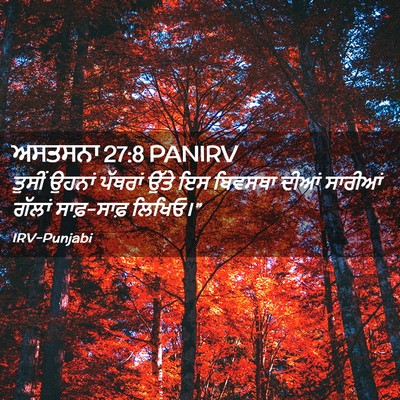 Picture 02 - ਅਸਤਸਨਾ 27:8 PANIRV - ਤੁਸੀਂ ਉਹਨਾਂ - Bible Verse Picture