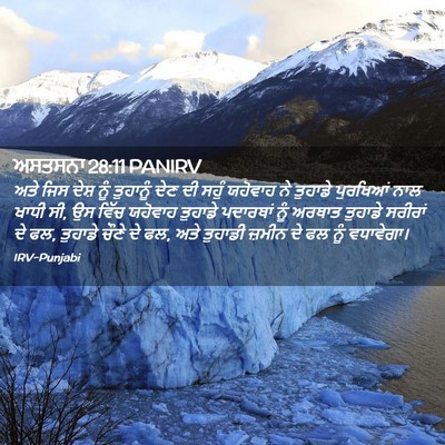 Picture 02 - ਅਸਤਸਨਾ 28:11 PANIRV - ਅਤੇ ਜਿਸ ਦੇਸ਼ ਨੂੰ - Bible Verse Picture