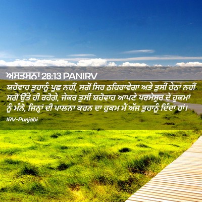 Picture 02 - ਅਸਤਸਨਾ 28:13 PANIRV - ਯਹੋਵਾਹ ਤੁਹਾਨੂੰ - Bible Verse Picture