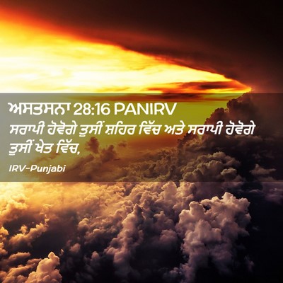 Picture 02 - ਅਸਤਸਨਾ 28:16 PANIRV - ਸਰਾਪੀ ਹੋਵੋਗੇ - Bible Verse Picture